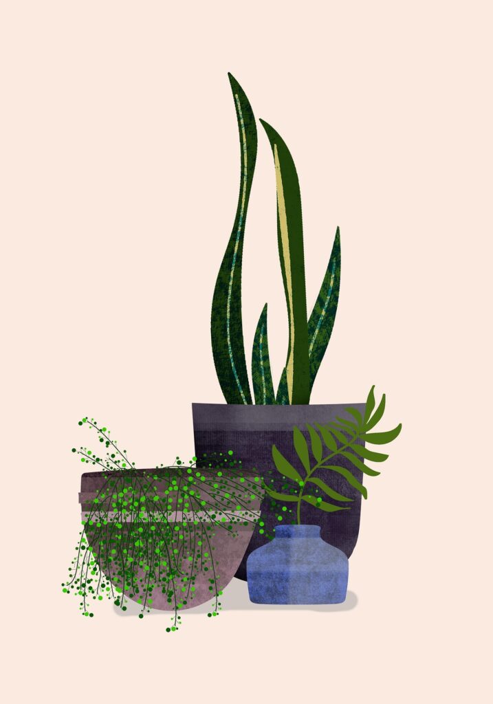 botanical 7498322 1920