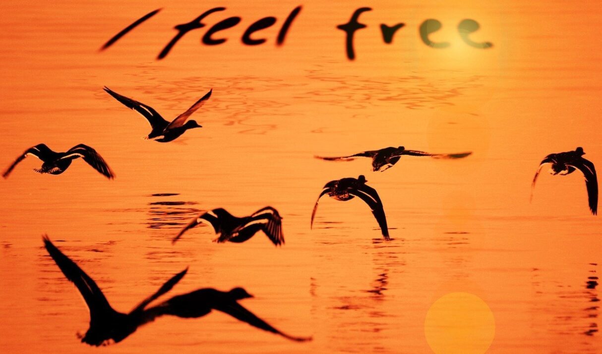 Letting Go: The Art of Releasing Negativity