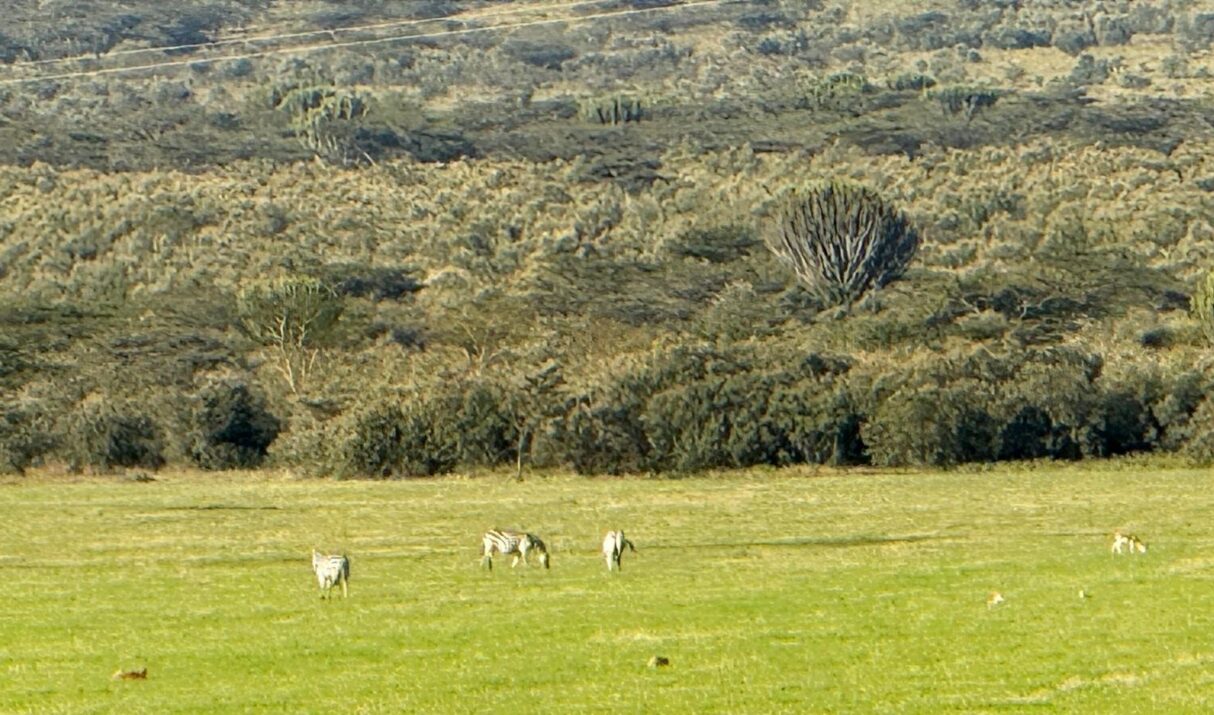 Simple Joys of the Road: A Glimpse into Kenya’s Rift Valley