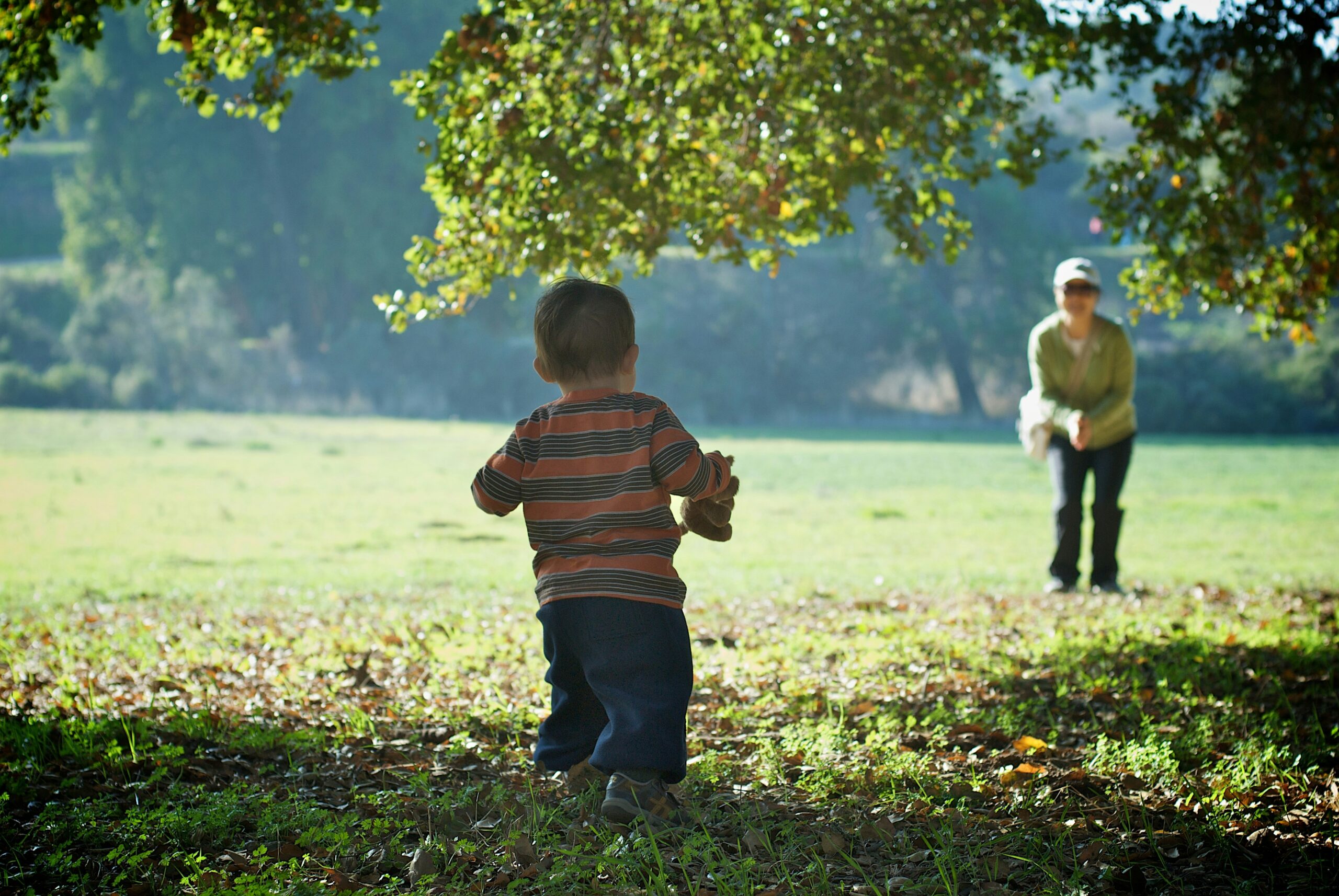 Teaching Discipline